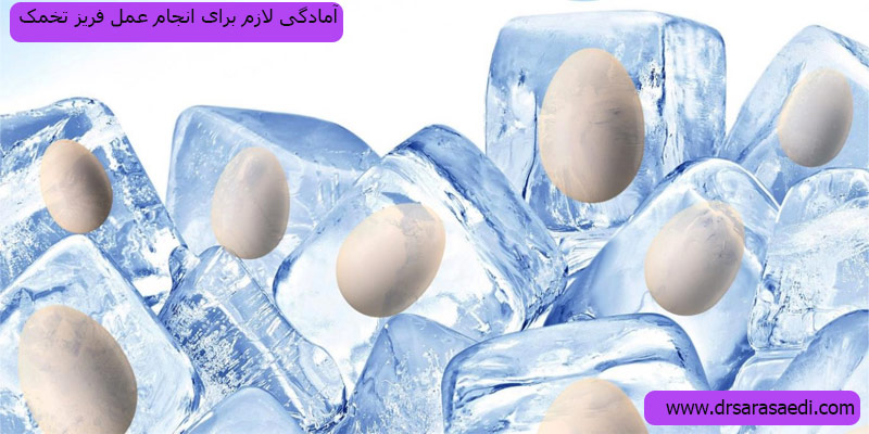 آمادگی-لازم-برای-فریز-تخمک