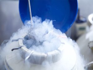 فریز-تخمک