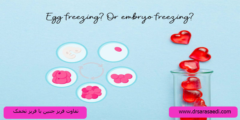 تفاوت-فریز-تخمک-با-فریز-جنین