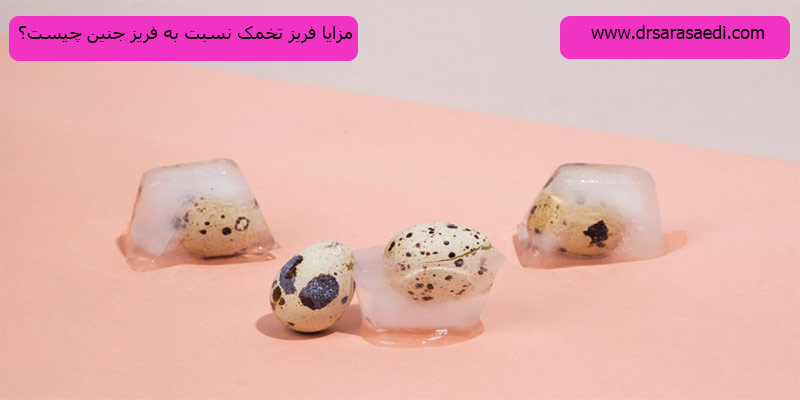 مزایای-فریز-تخمک-به-نسبت-فریز-جنین