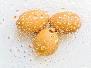 هزینه-فریز-تخمک