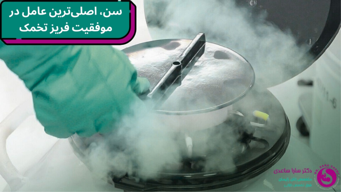 سن مناسب فریز تخمک