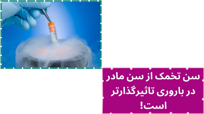 اهمیت سن فریز تخمک