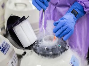 فریز-تخمک