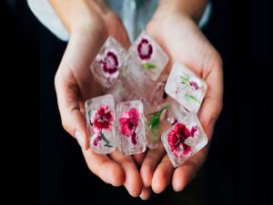 فریز-تخمک-در-زنان-مجرد