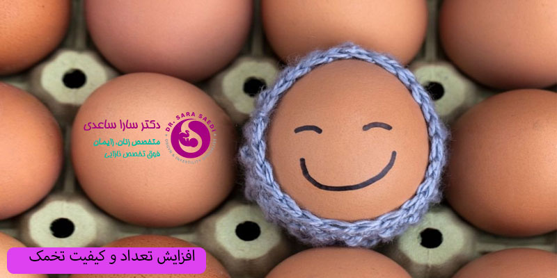 افزایش-و-تعداد-تخمک