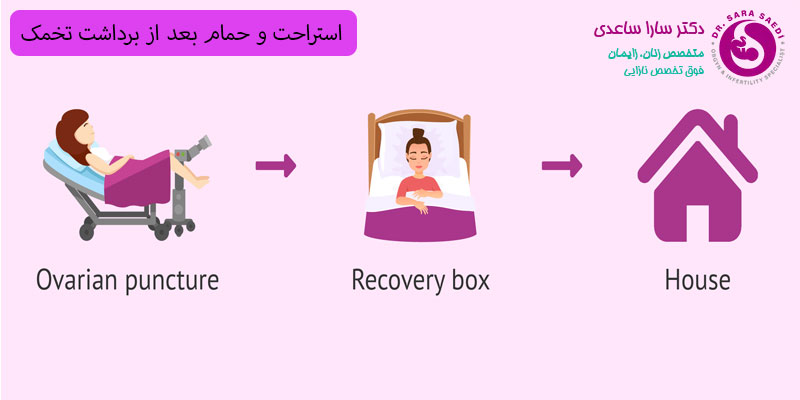 استراحت و حمام بعد از برداشت تخمک