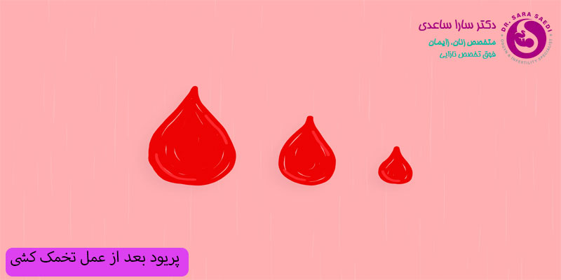 پریود-بعد-از-تخمک-کشی