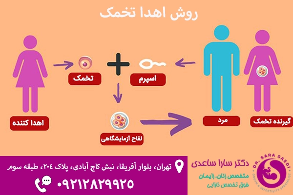 بارداری با تخمک اهدایی