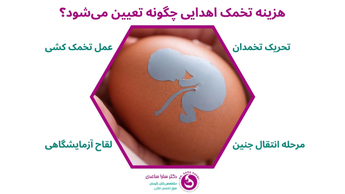 عوامل موثر بر هزینه تخمک اهدایی