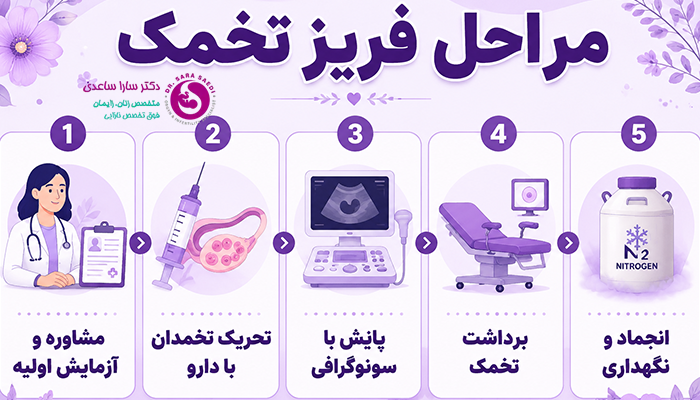 مراحل فریز تخمک