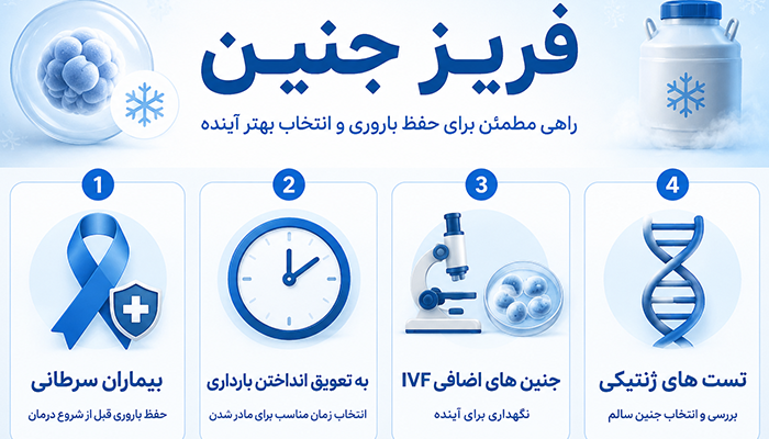 کاندیدای فریز جنین